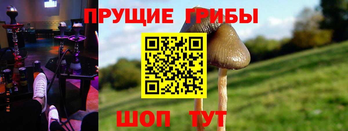 Псилоцибиновые грибы Psilocybine cubensis Миасс